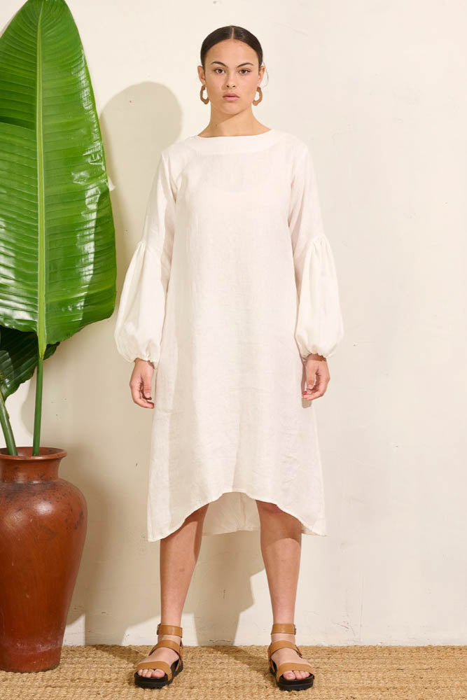 Falling Bell Sleeve Dress