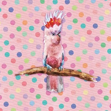 F&F Pinky Galah Gift Card