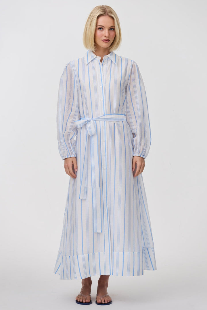 Briar Dress - Sky Antique Stripe