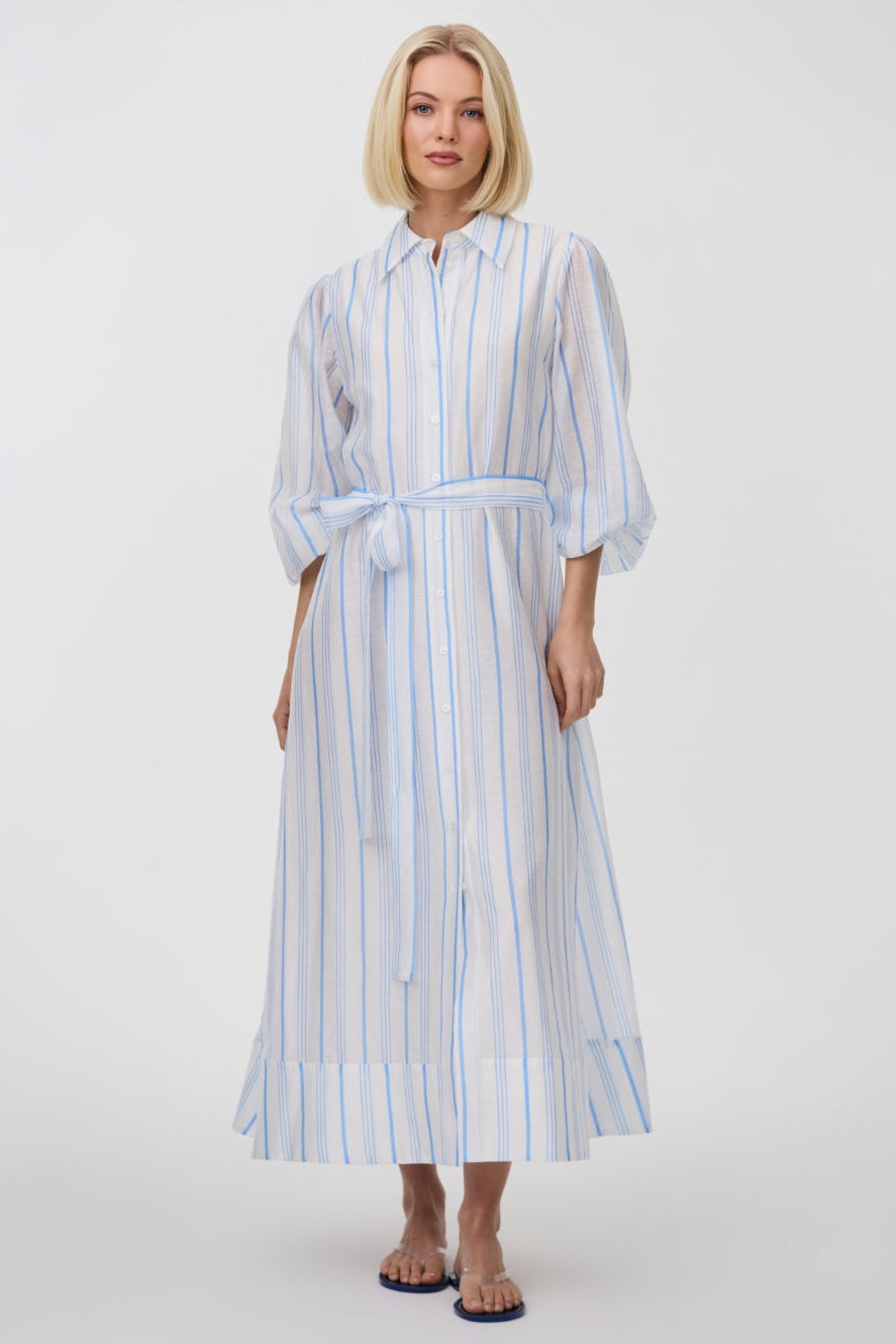Briar Dress - Sky Antique Stripe