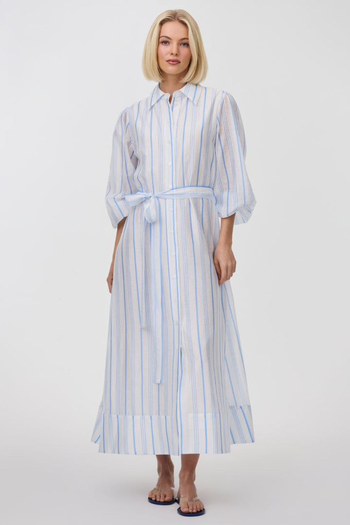 Briar Dress - Sky Antique Stripe