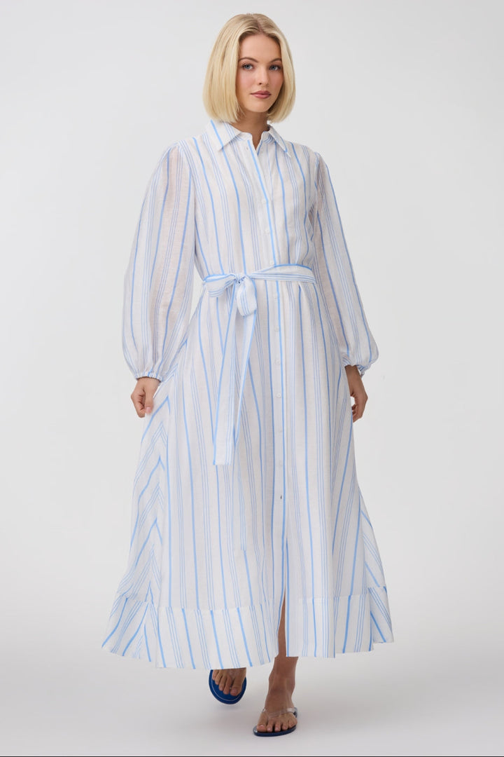 Briar Dress - Sky Antique Stripe