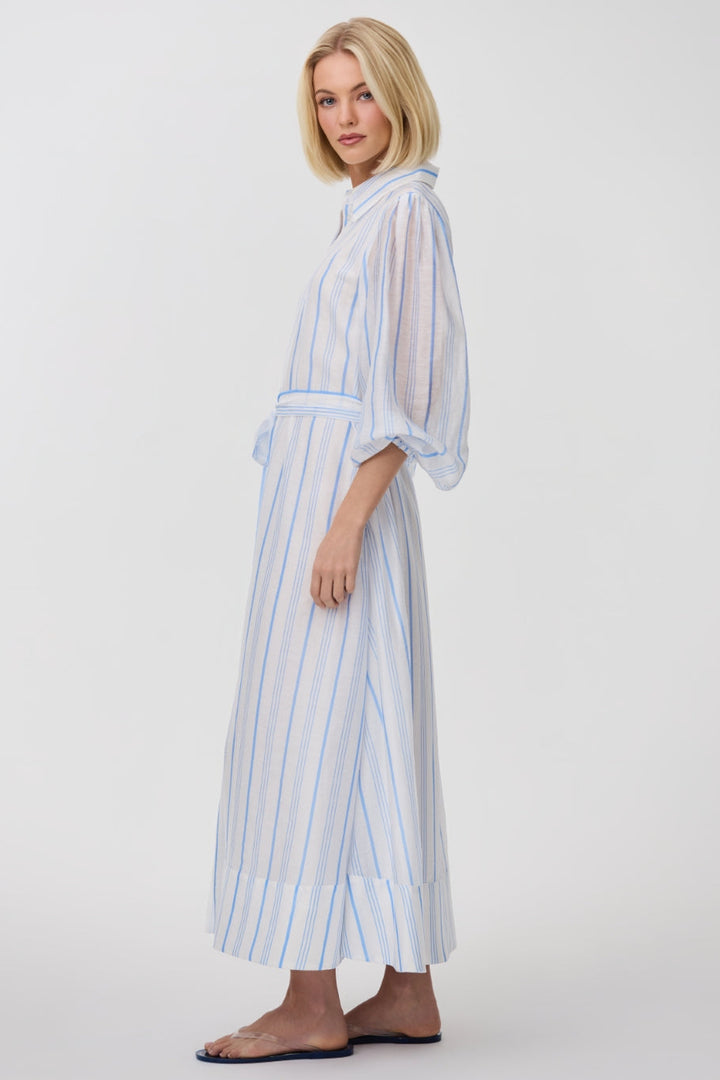 Briar Dress - Sky Antique Stripe