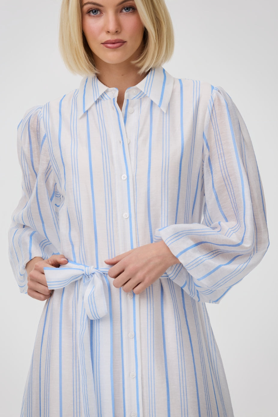 Briar Dress - Sky Antique Stripe