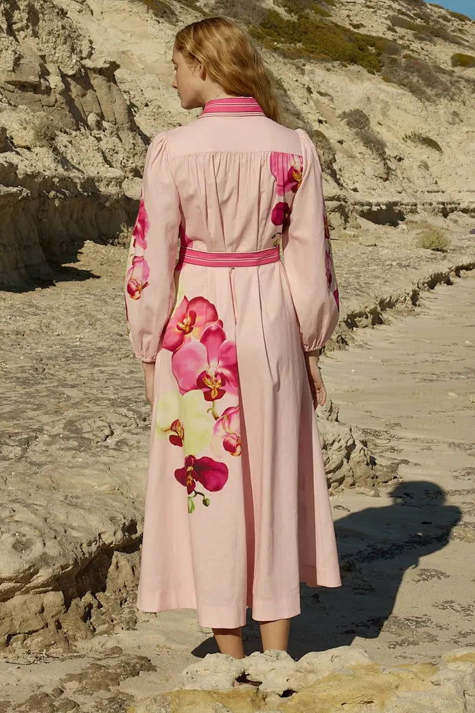 Aston Studio Lucille Dress Icing Phalae