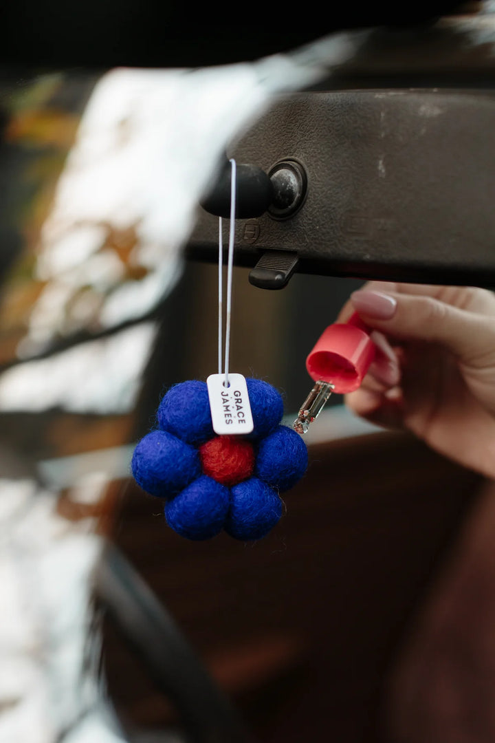 Blue and red pom-pom felt air freshener attached to a metal object with a blurred natural background