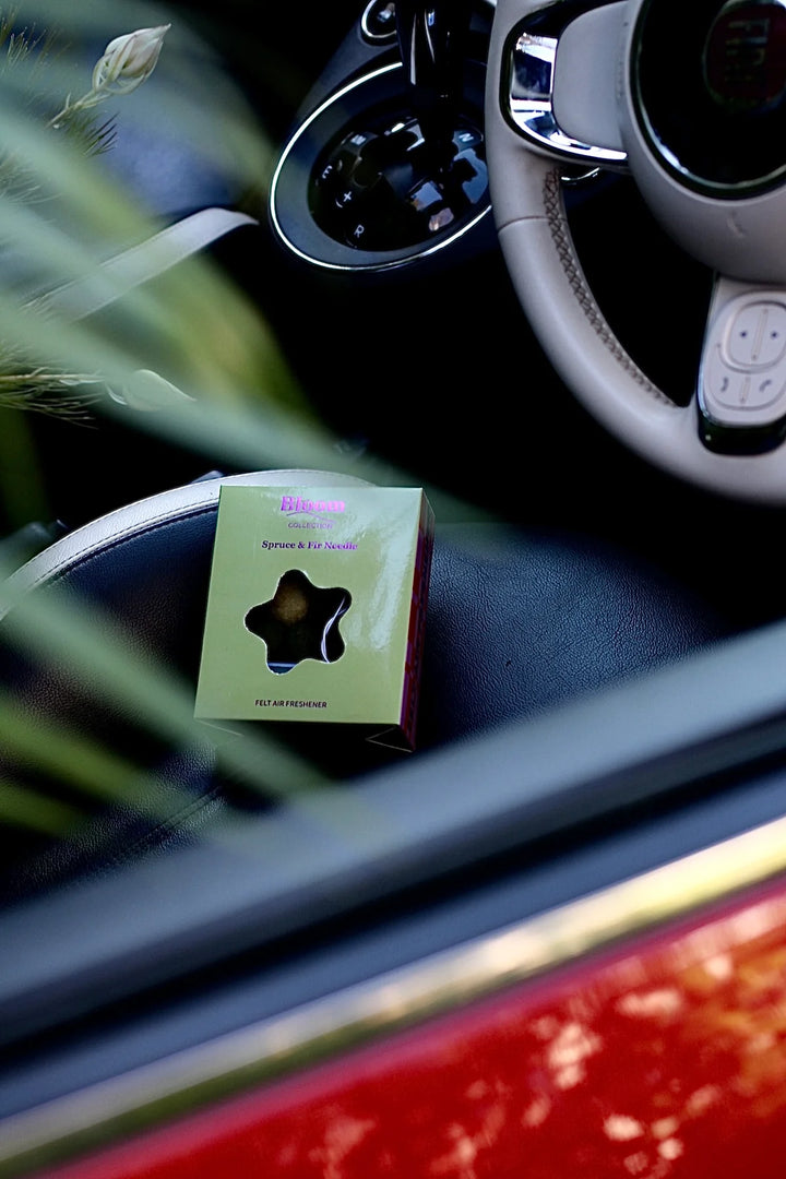 Car interior with a green box on the seat containing a flower shaped felt air freshener
