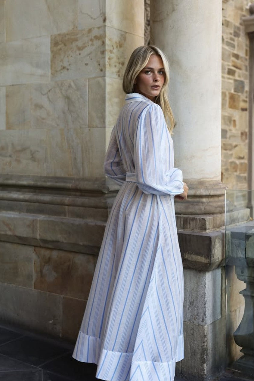 Briar Dress - Sky Antique Stripe