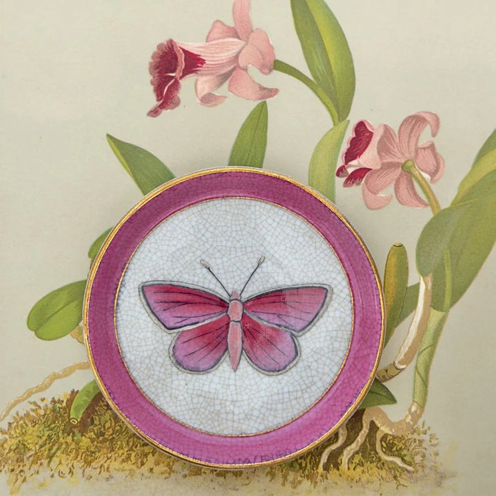 Entomologie Savon Dish - Rosa