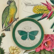 Entomologie Savon Dish - Emerald