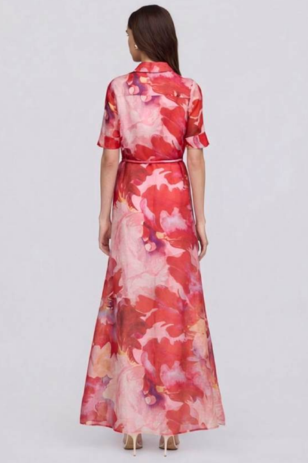 Ina Maxi Dress - Pink Red Floral