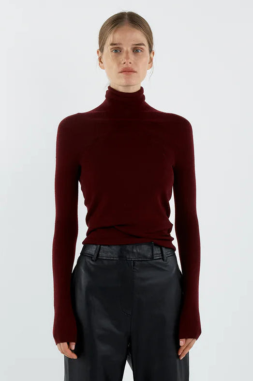 Person wearing a burgundy turtleneck and black pants on a white background