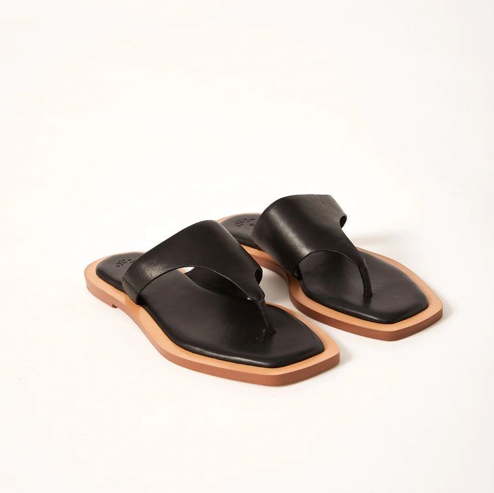 Willow Slide - Black